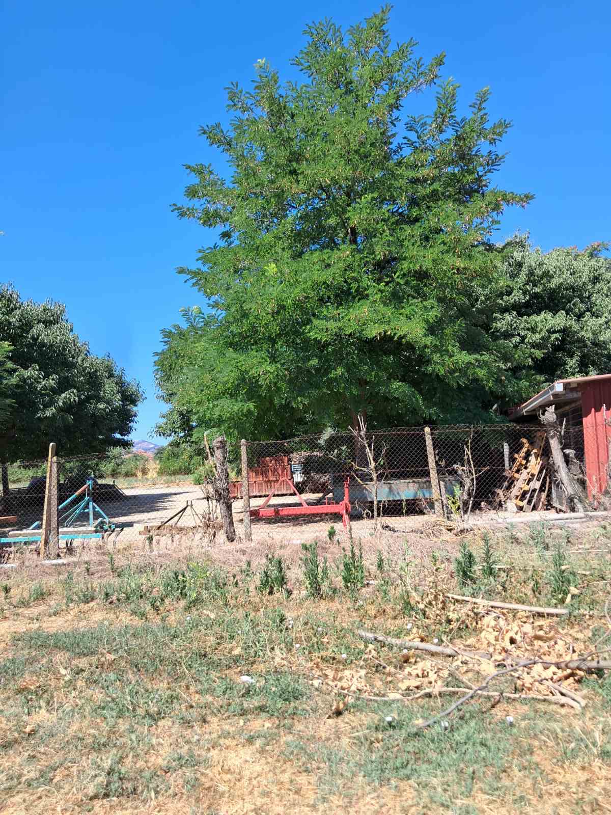 Οικόπεδο 616.26 sq.m. σε πλειστηριασμό Municipality of Tyrnavos