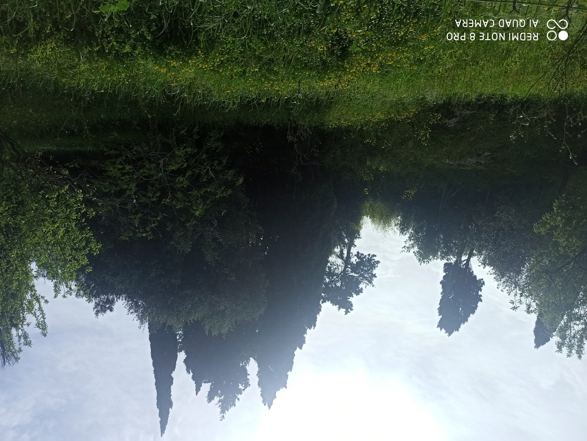 Οικόπεδο  σε πλειστηριασμό Δήμος Κέρκυρας