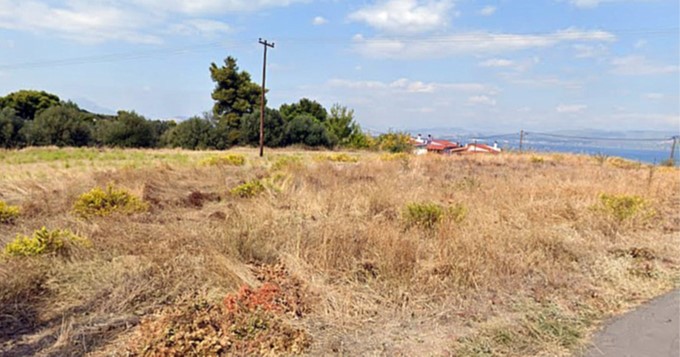 Οικόπεδο  σε πλειστηριασμό Δήμος Ωρωπού