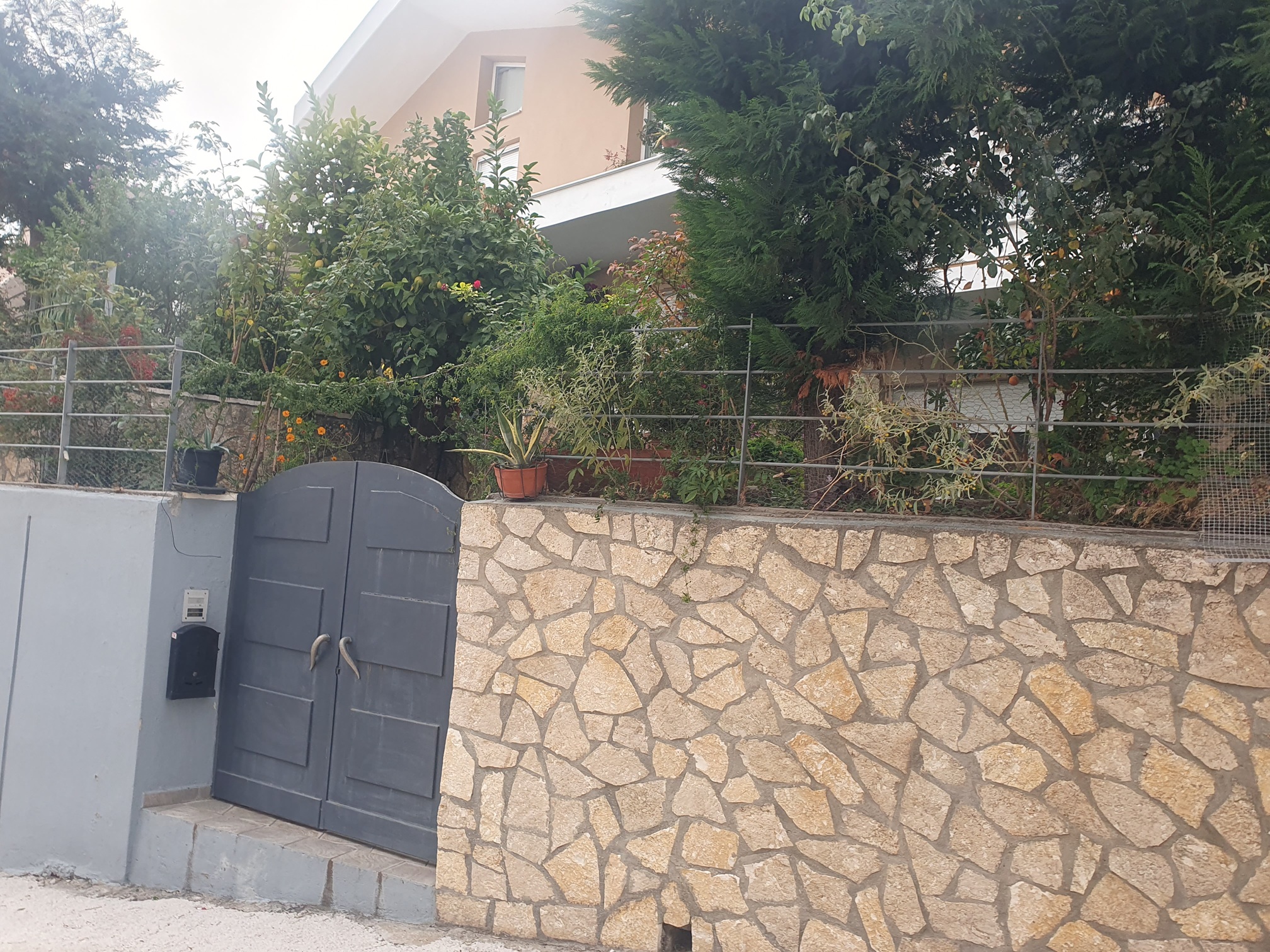 photo0