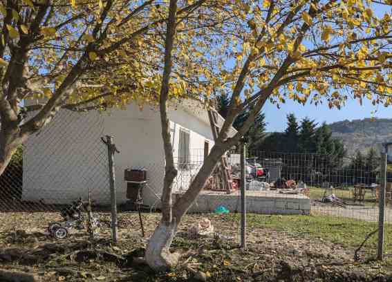 photo2