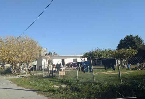 photo1