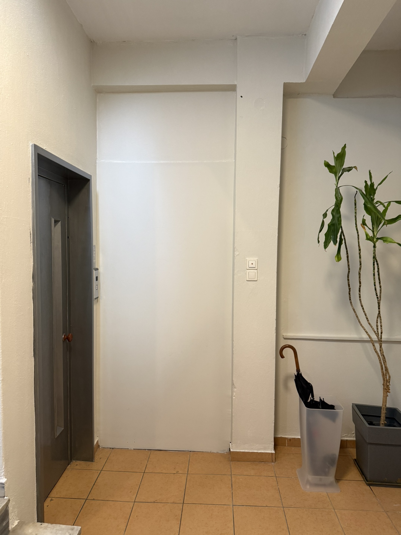 photo6