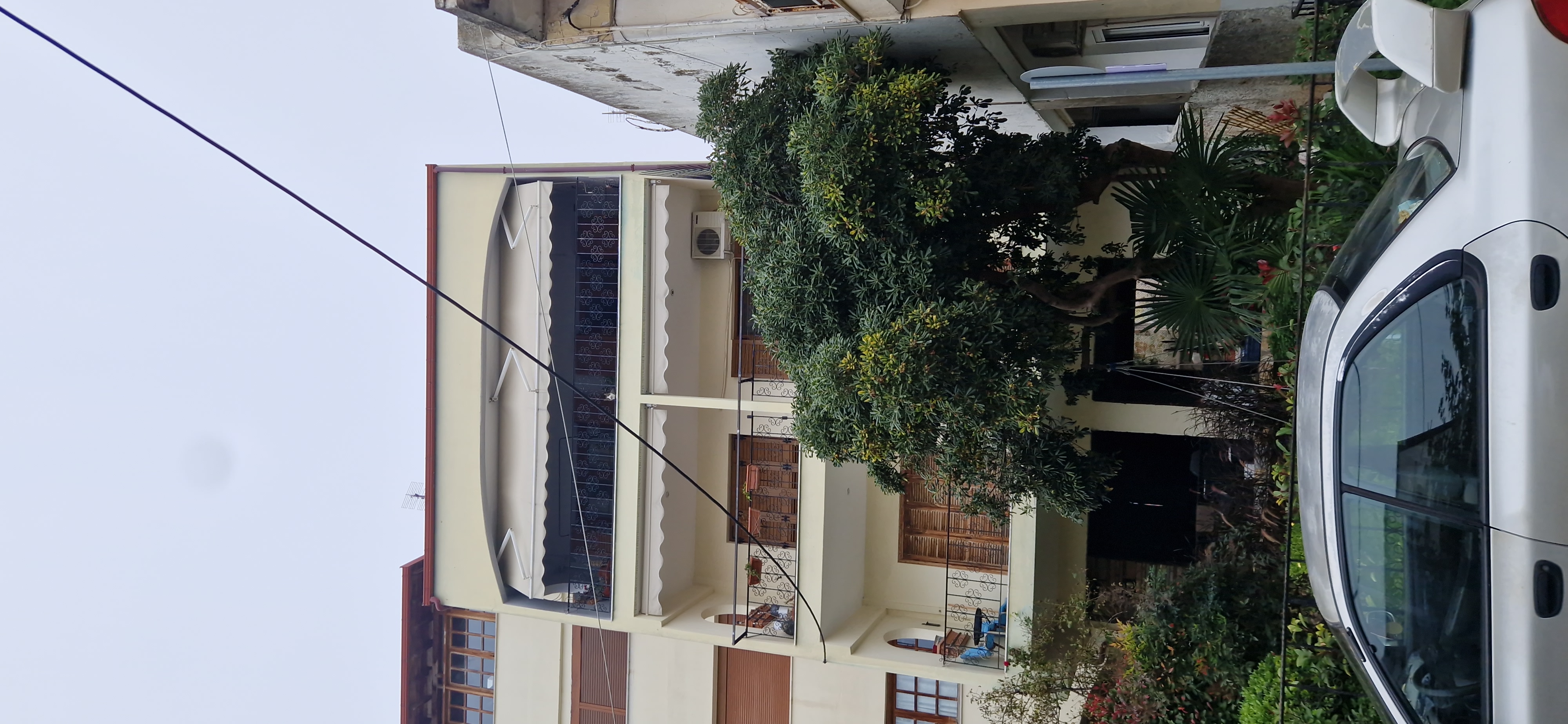 photo1