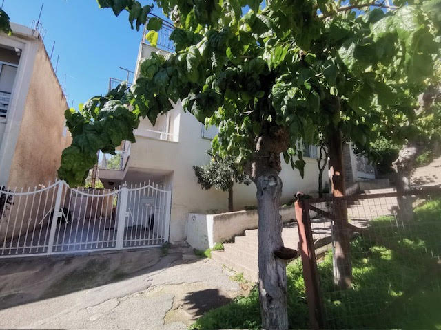 photo0