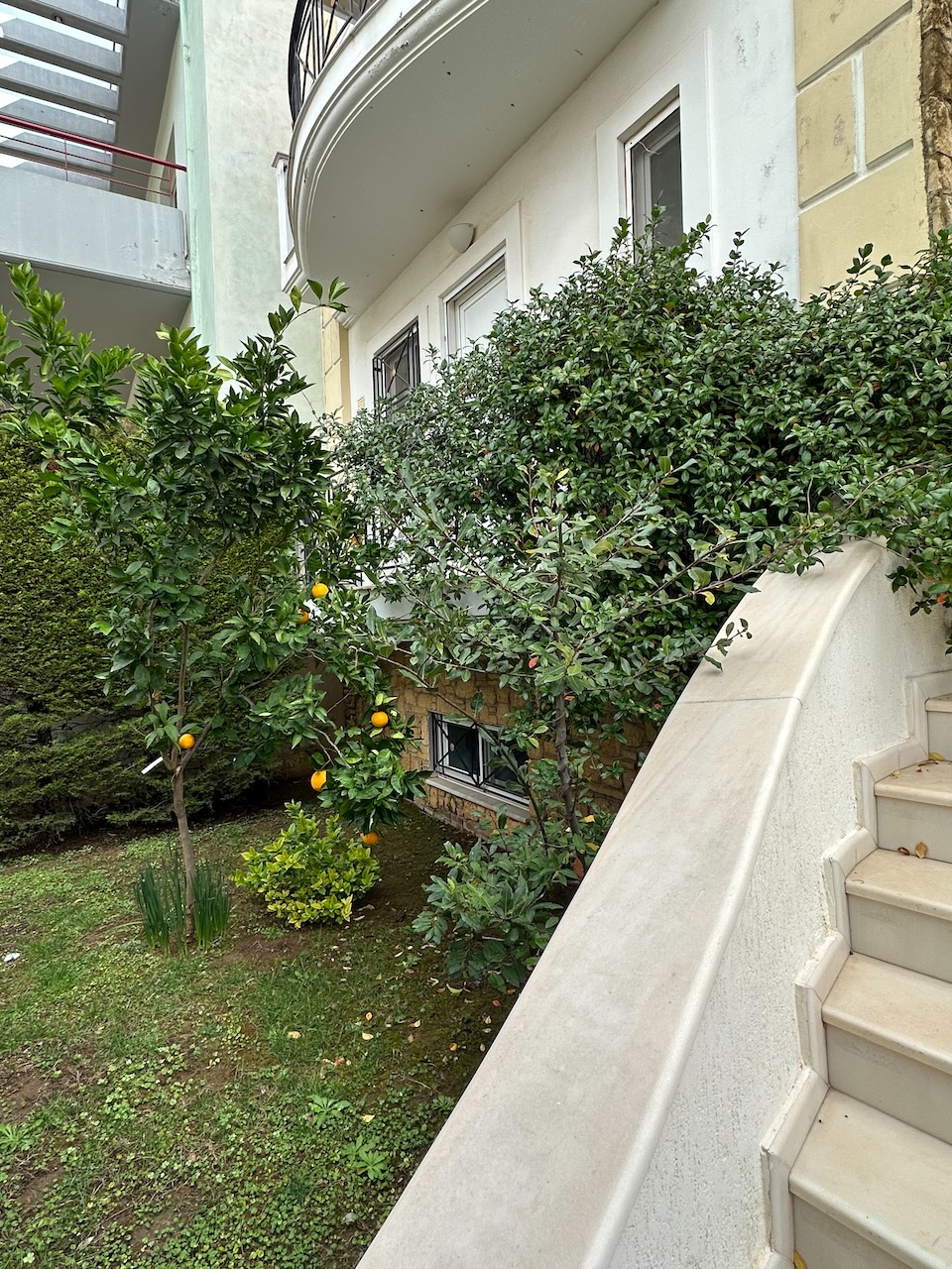 photo13