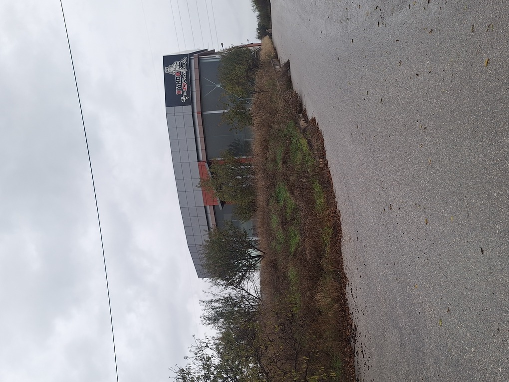 photo3