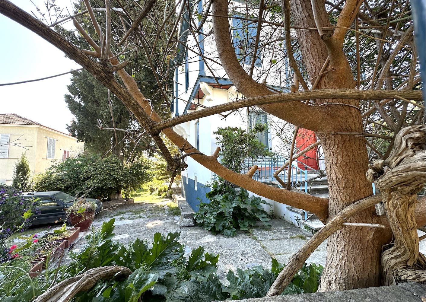 photo1