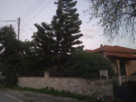 photo1