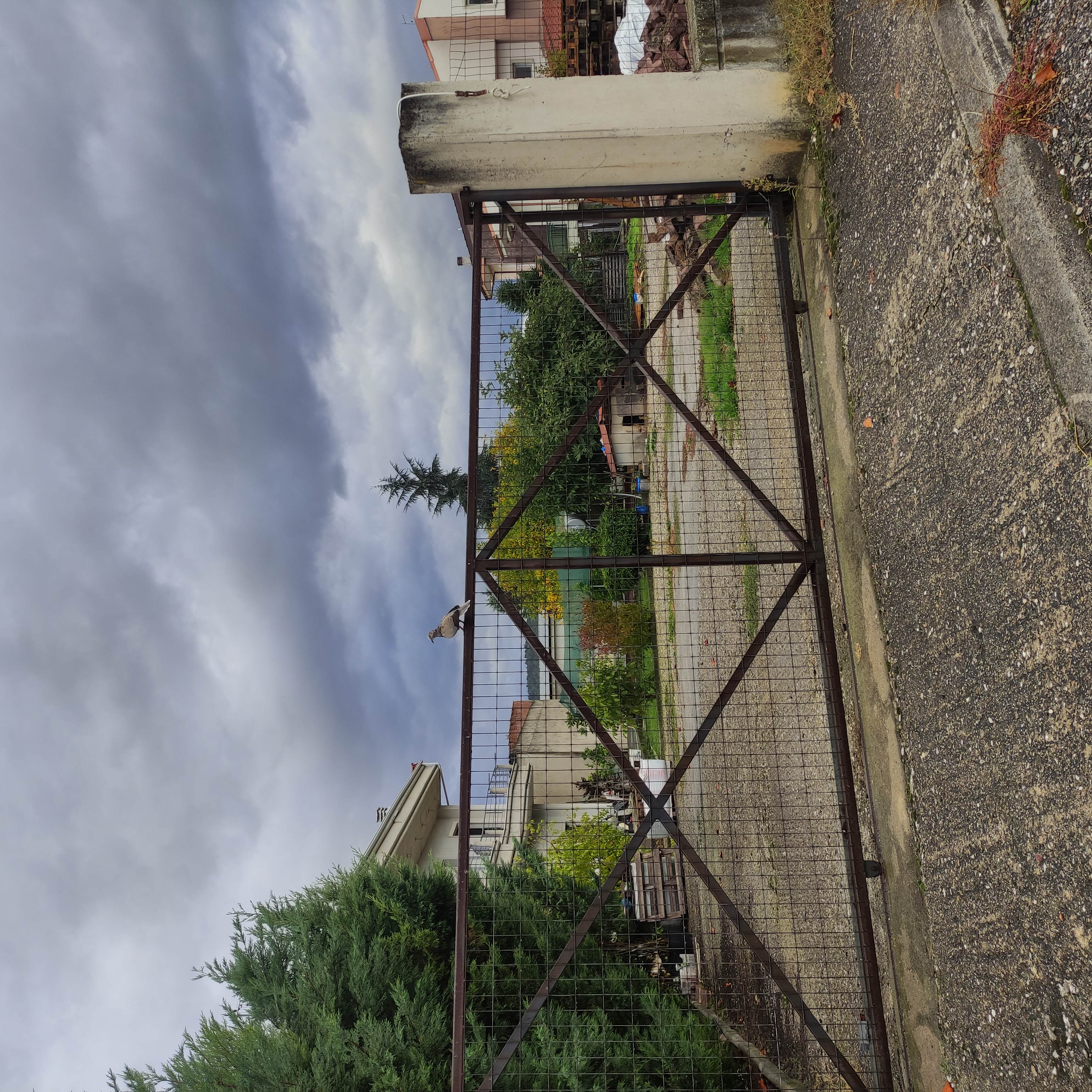photo1
