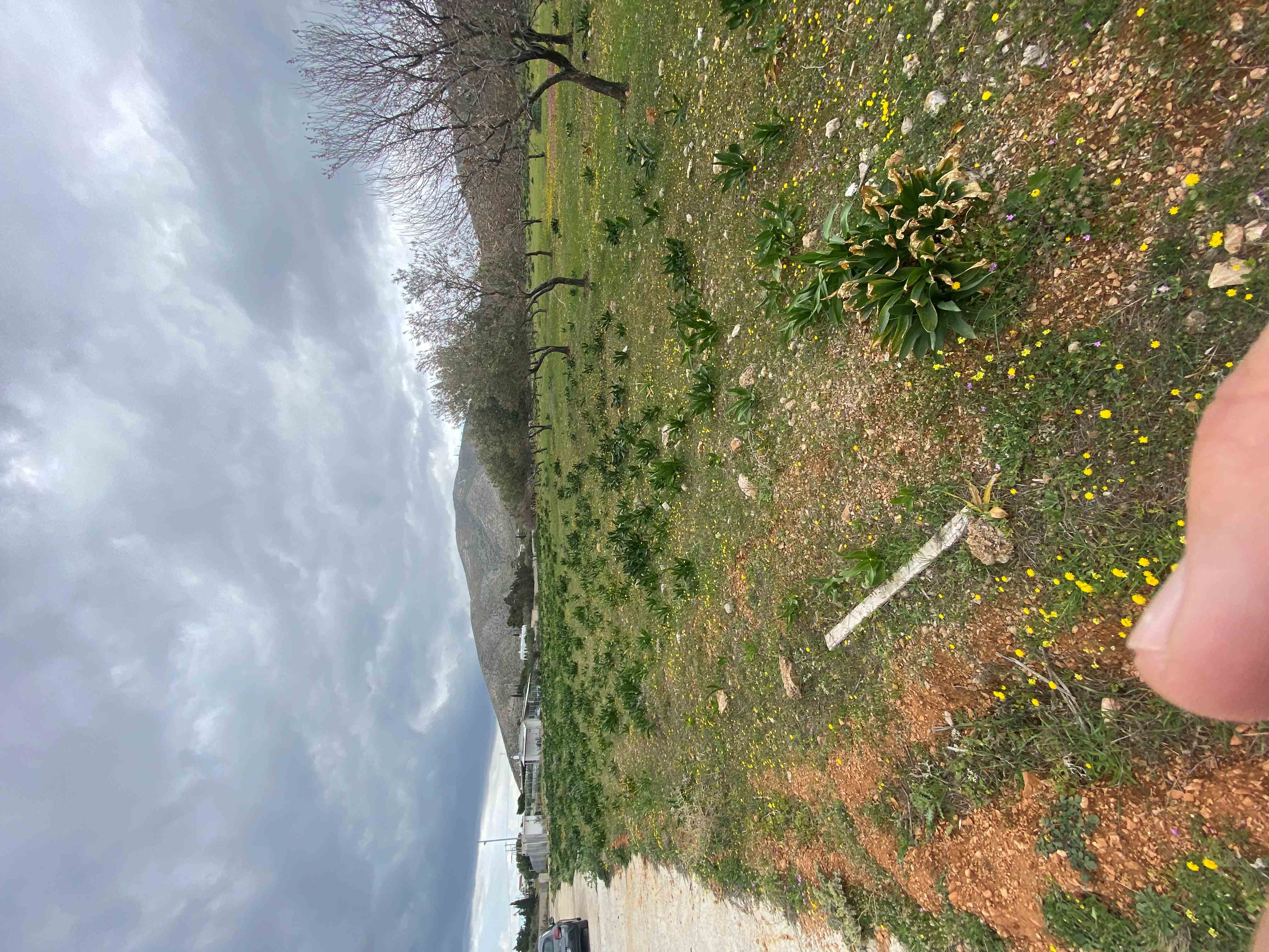 photo1