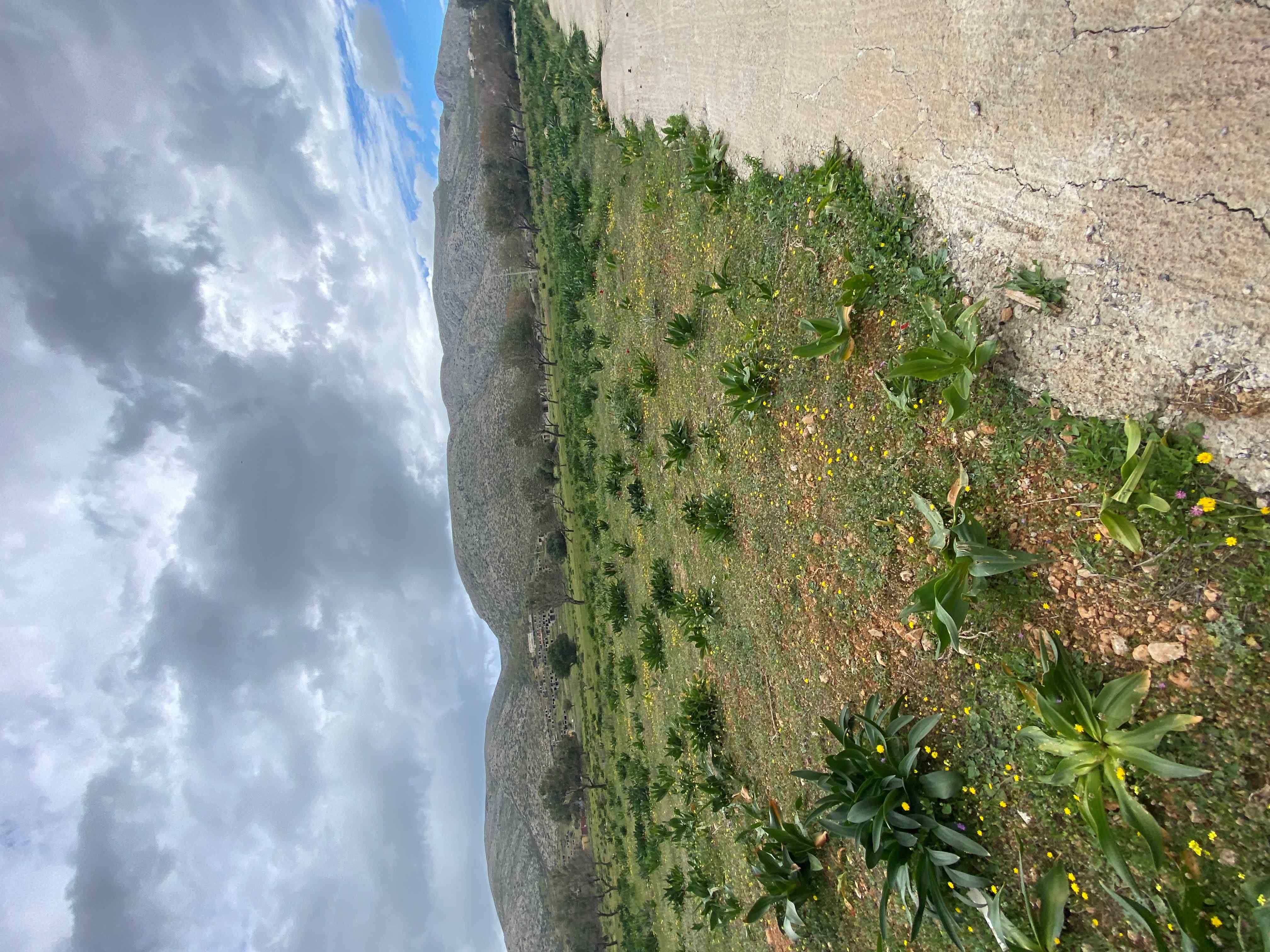 photo2