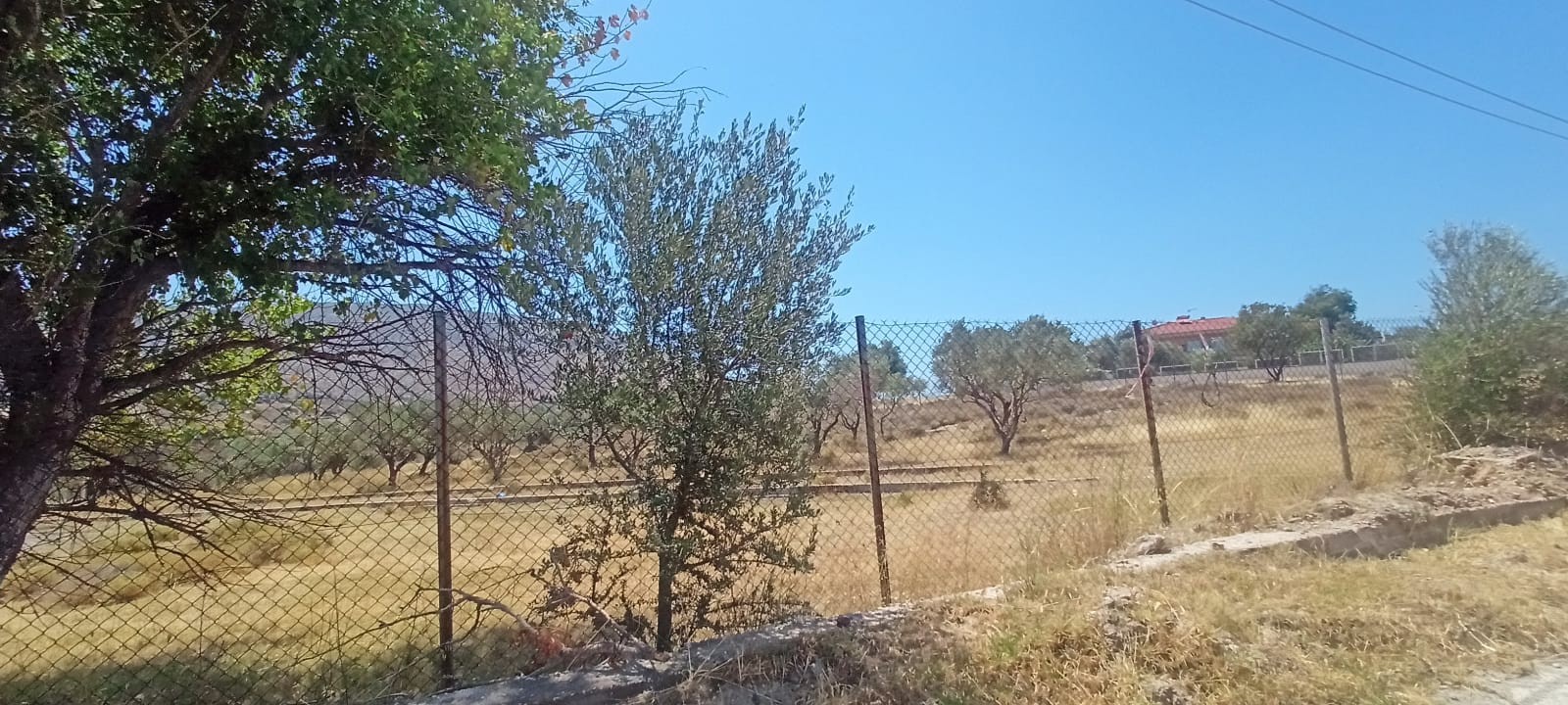 photo1