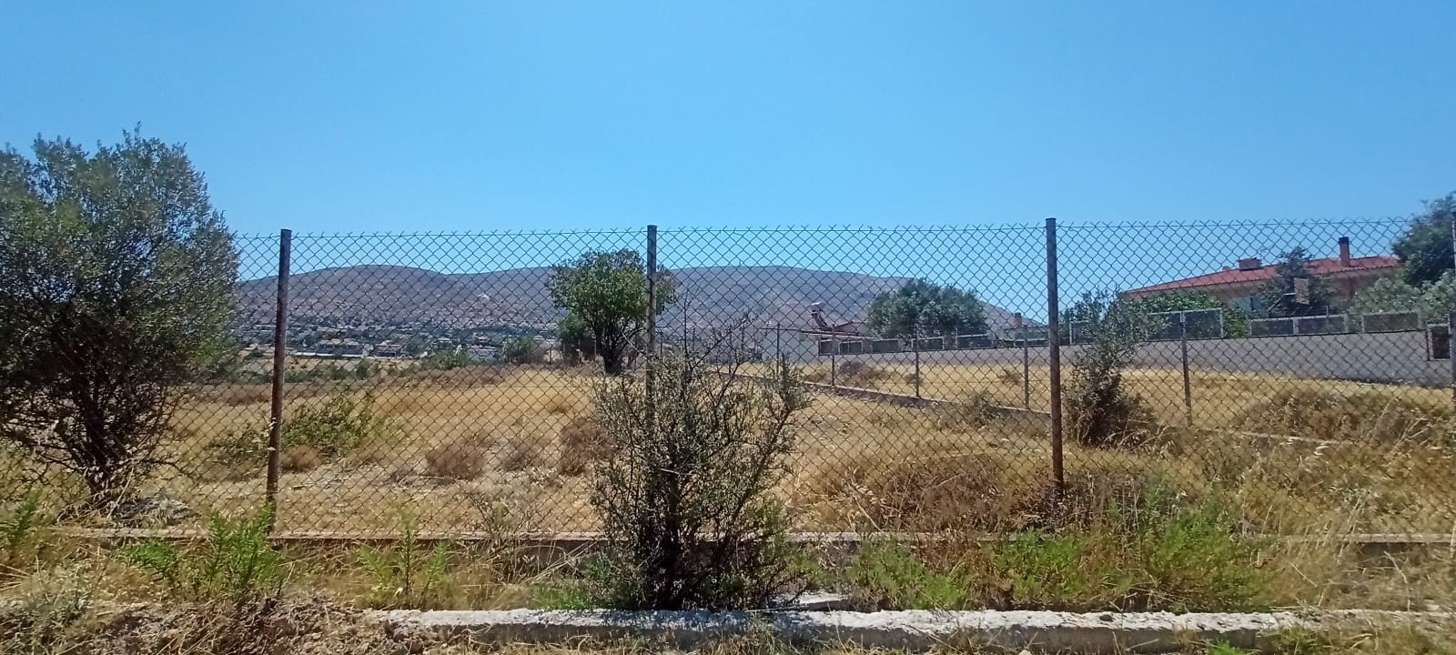 photo2