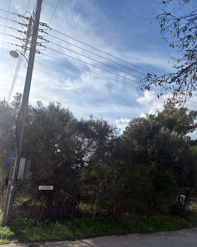 photo1