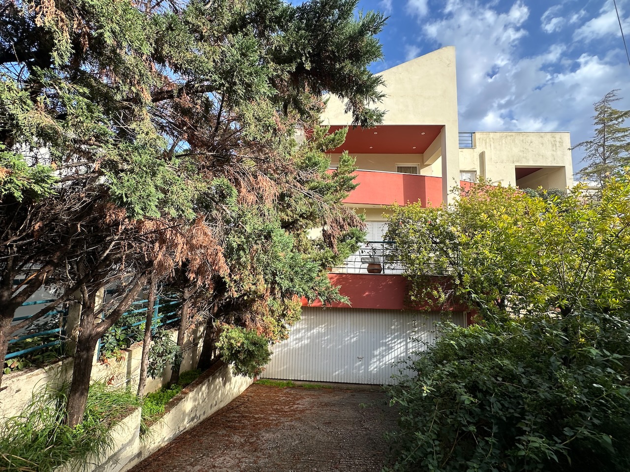 photo1