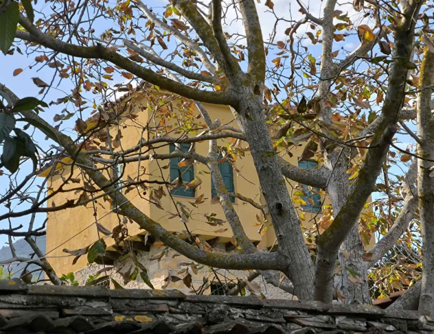 Κατοικία  σε πλειστηριασμό Municipality of Lesvos