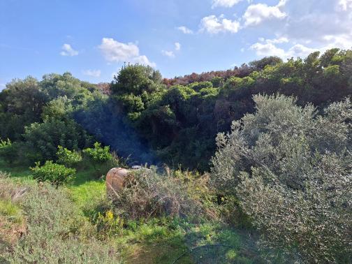 Αγροτεμάχιο  σε πλειστηριασμό Municipality of Monemvasia