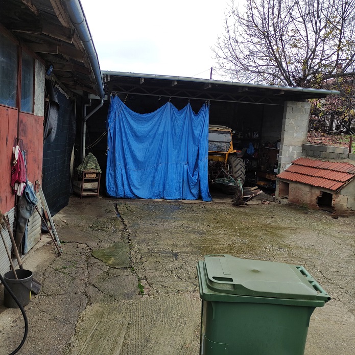 photo5
