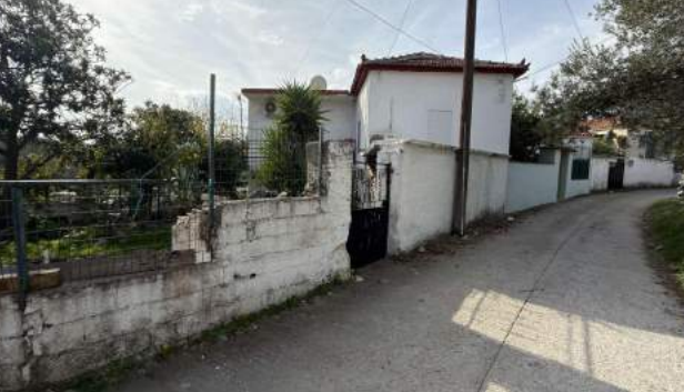 photo1