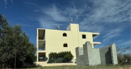 photo1