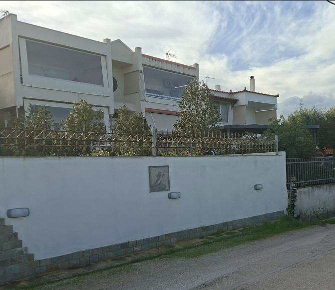 photo1