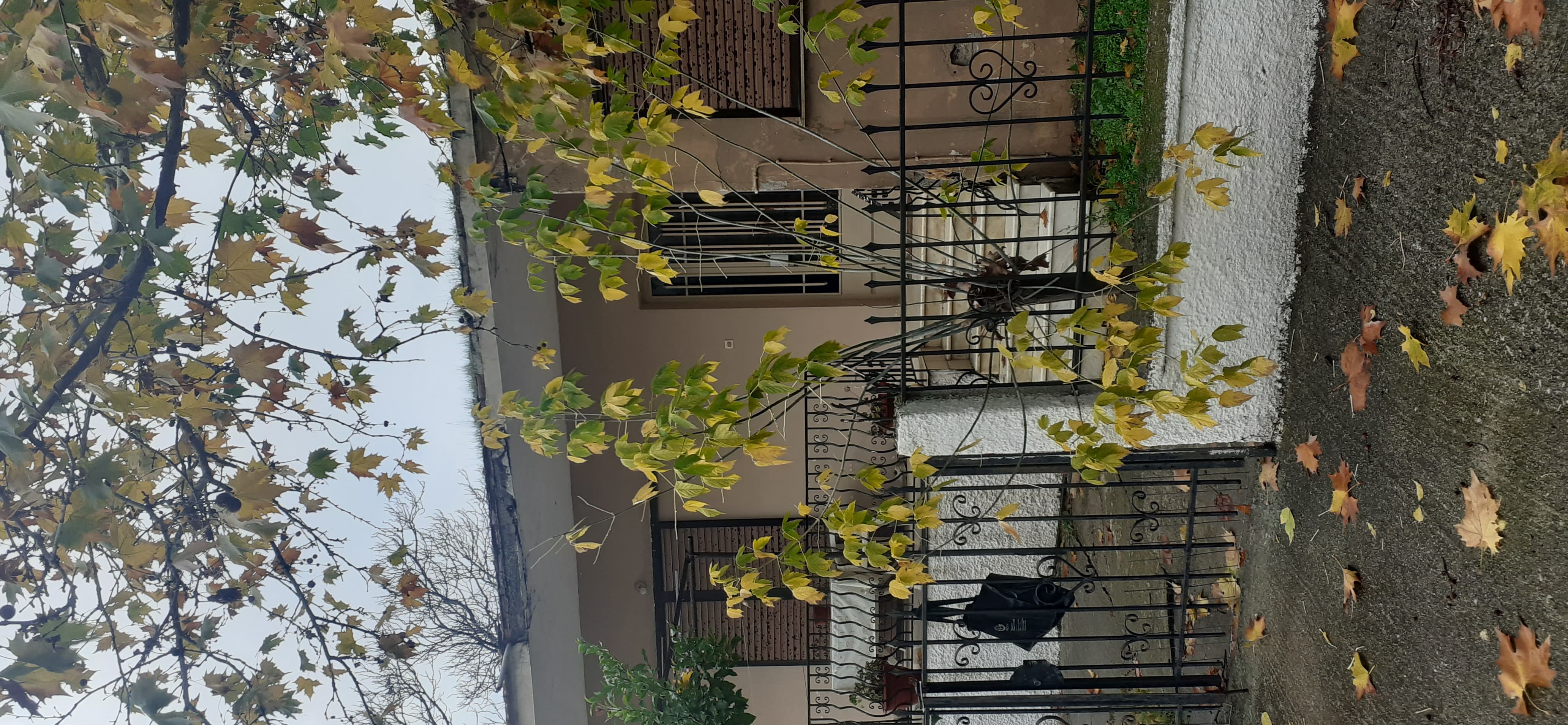 photo0