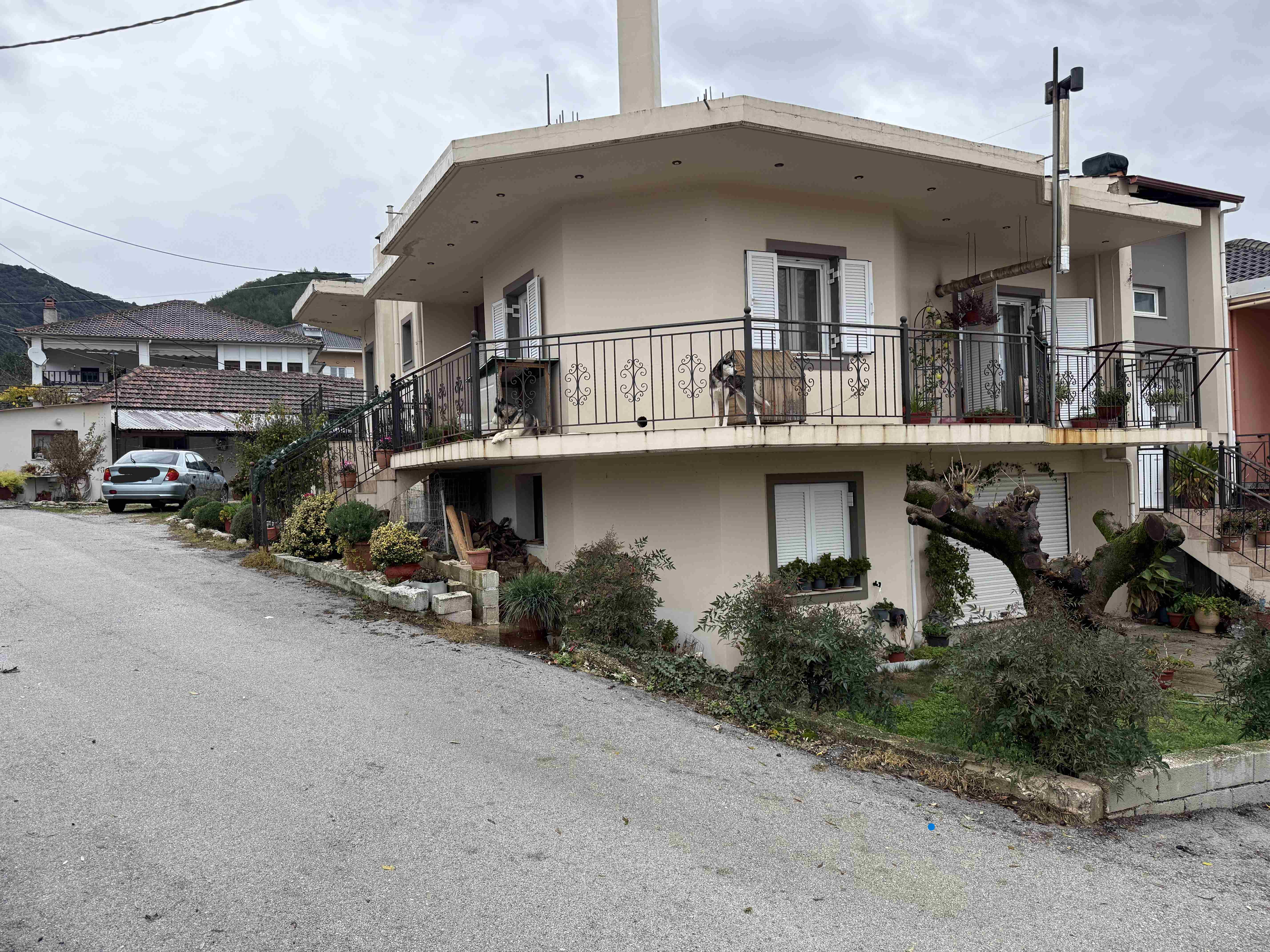 photo1