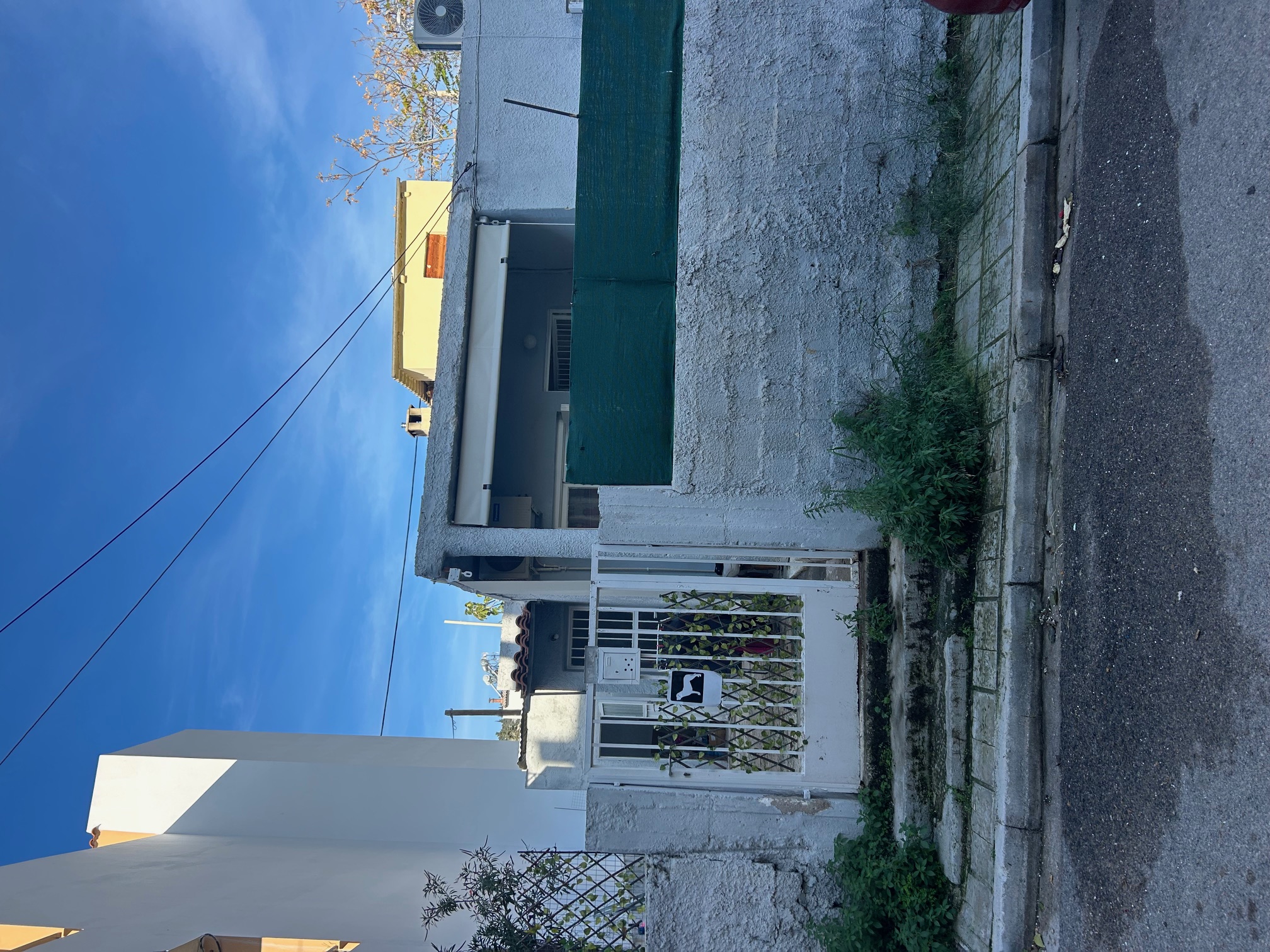 photo2