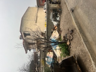 photo0