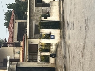 photo1