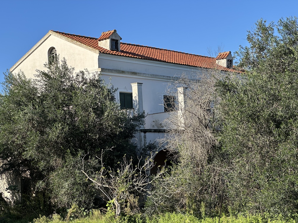 photo3