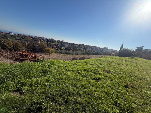 photo1