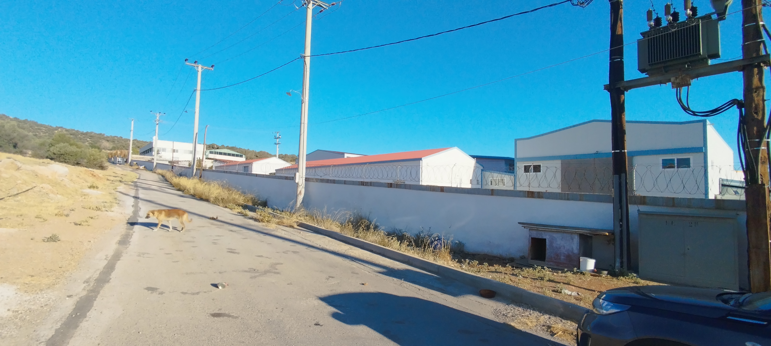 Αγροτεμάχιο με κτίσμα  σε πλειστηριασμό Municipality of Mandra - Idyllia