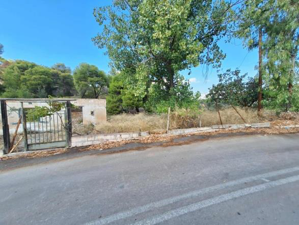 Οικόπεδο  σε πλειστηριασμό Municipality of Corinthia