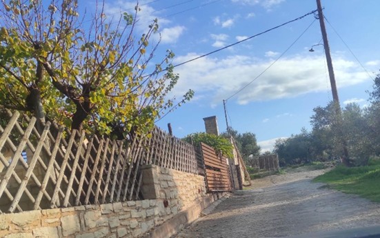 Αγροτεμάχιο με κτίσμα  σε πλειστηριασμό Δήμος Πλατανιά  