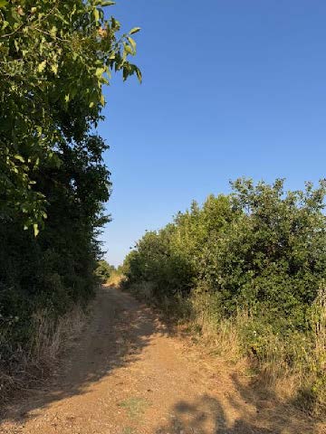 Αγροτεμάχιο 5295.92 τ.μ. σε πλειστηριασμό Δήμος Κατερίνης