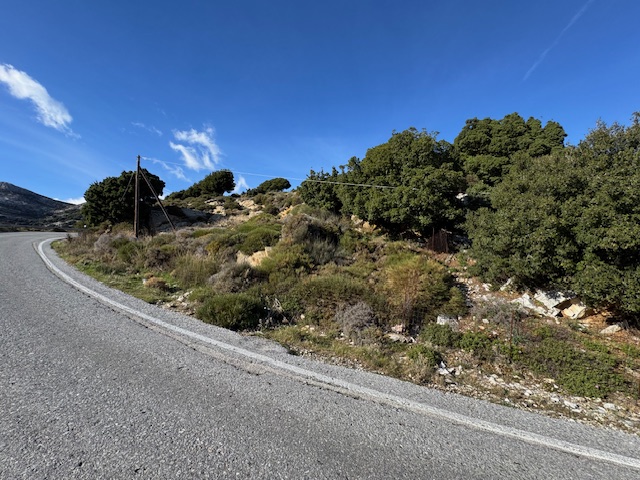 Αγροτεμάχιο  σε πλειστηριασμό Municipality of Naxos & Small Cyclades