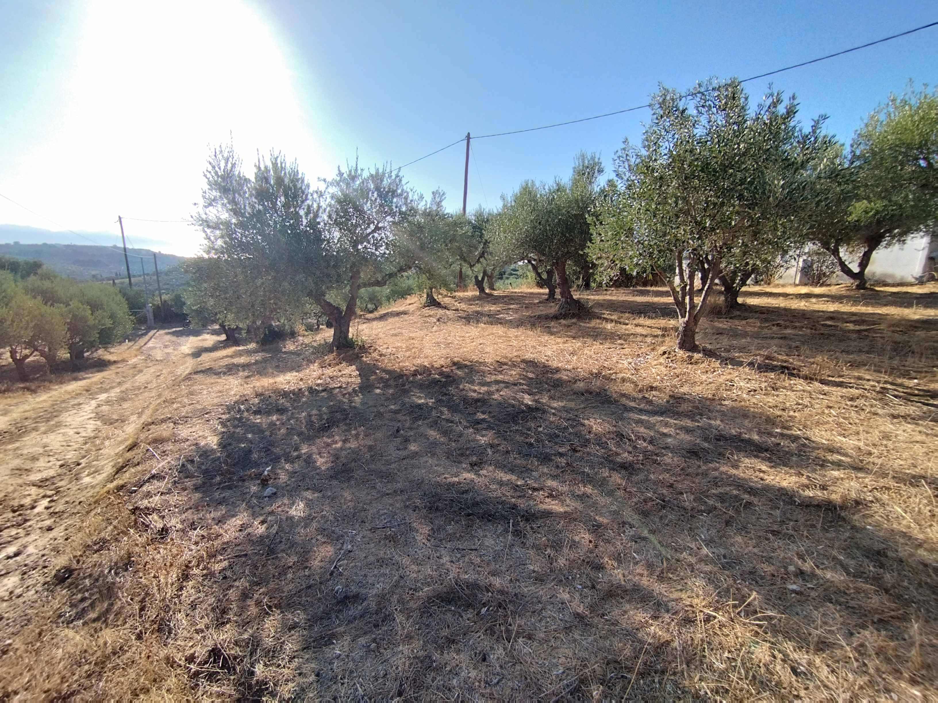 Οικόπεδο  σε πλειστηριασμό Municipality of Pylos - Nestoros