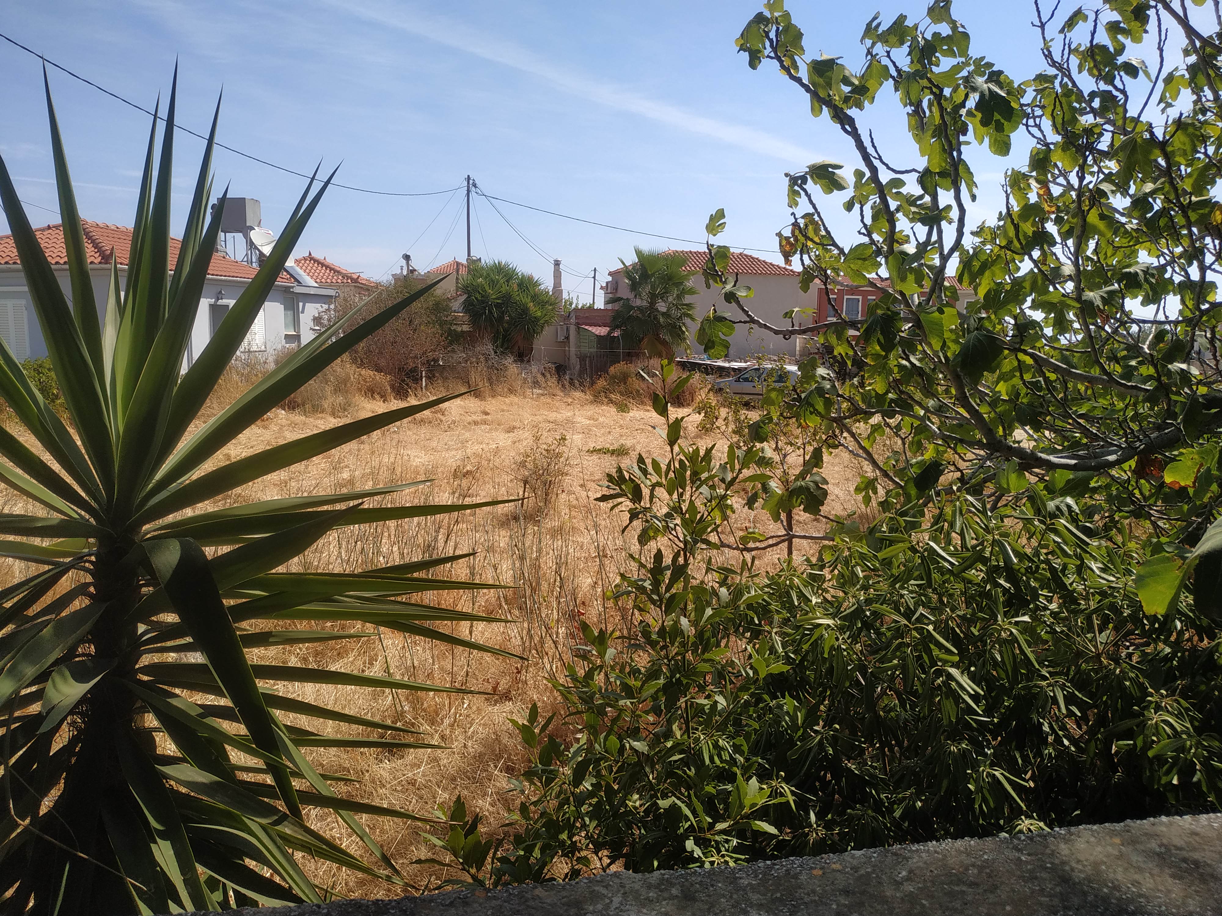 Οικόπεδο 746.29 sq.m. σε πλειστηριασμό Municipality of Lesvos