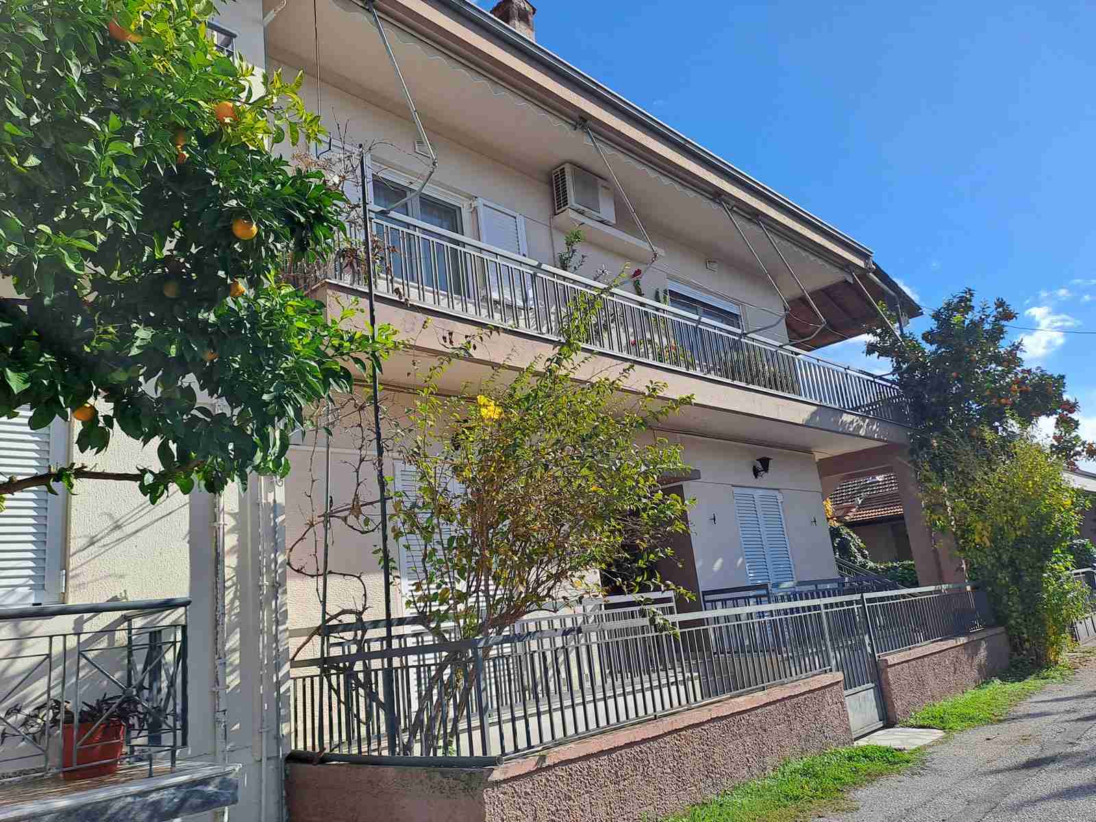 photo1