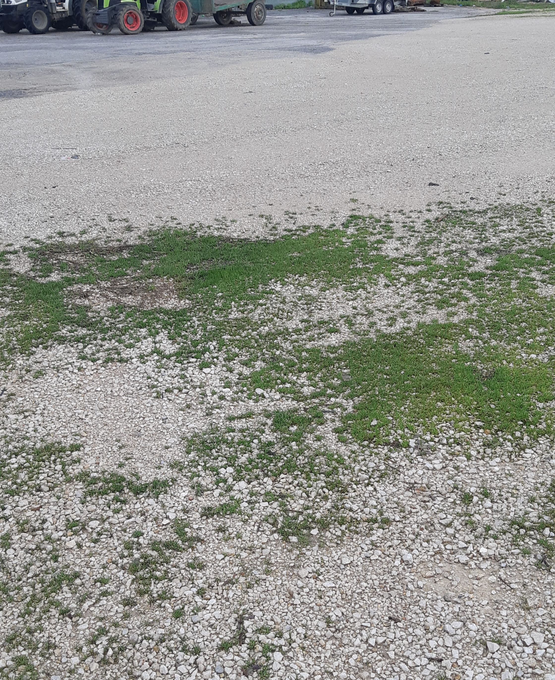 photo1