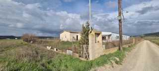 photo0
