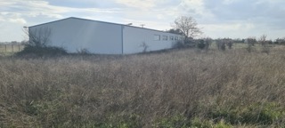 photo3