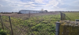 photo4