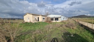 photo7