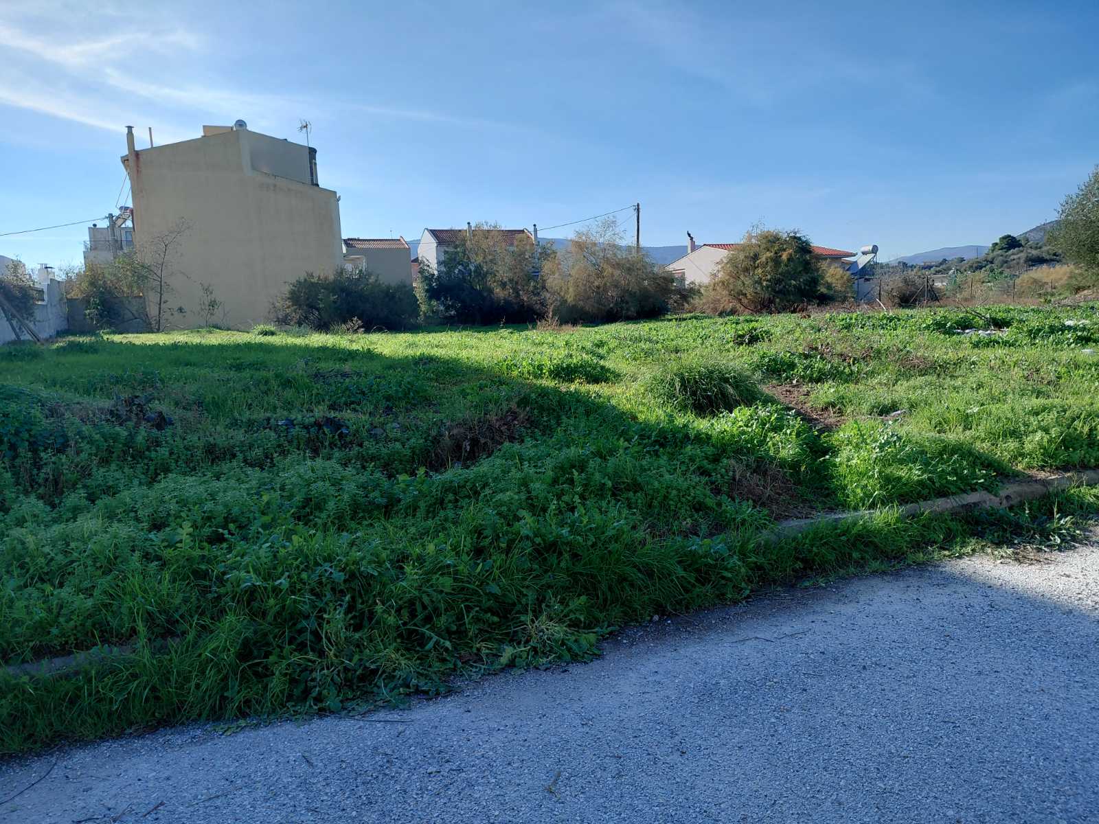 photo1
