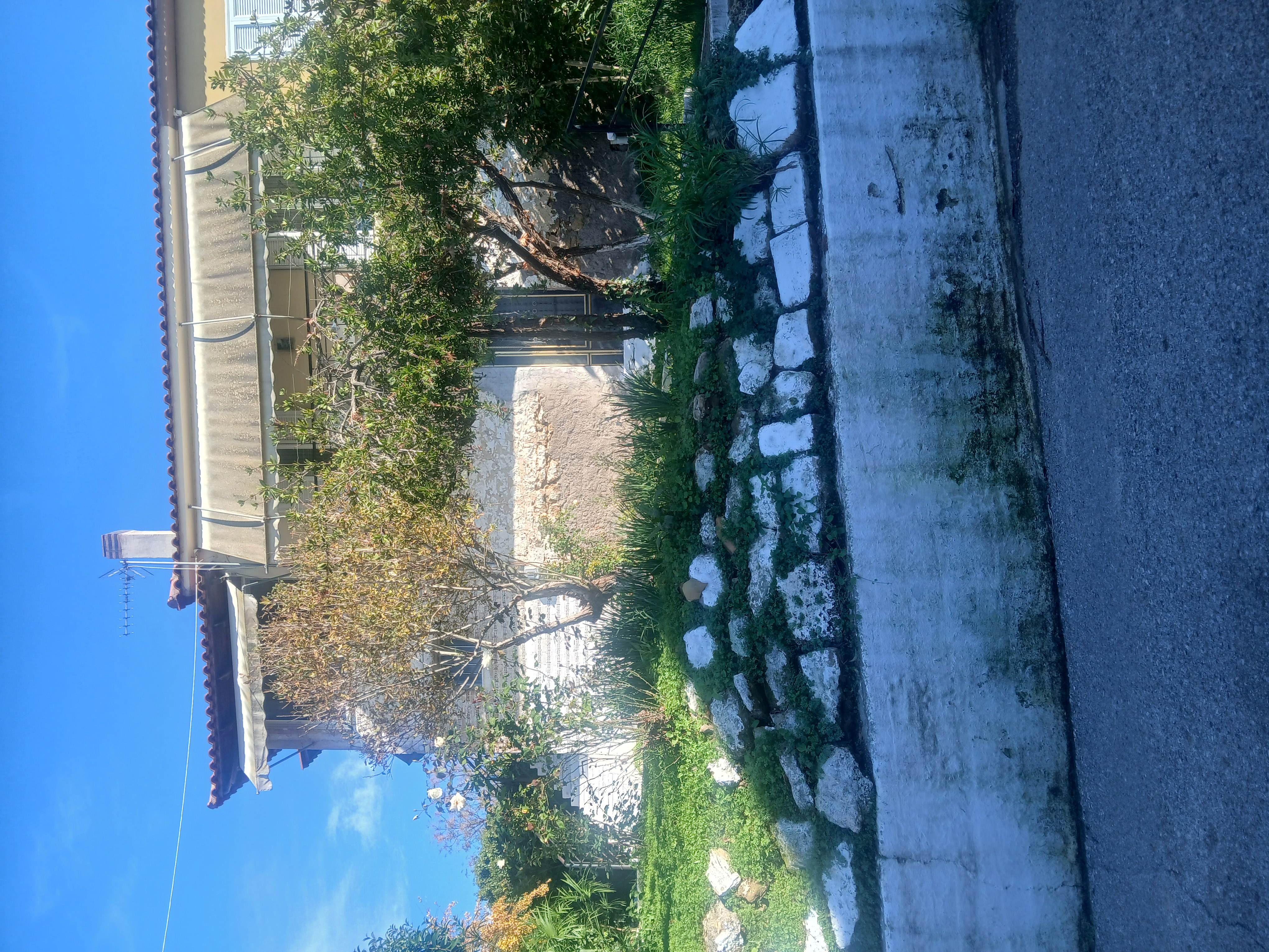 photo1