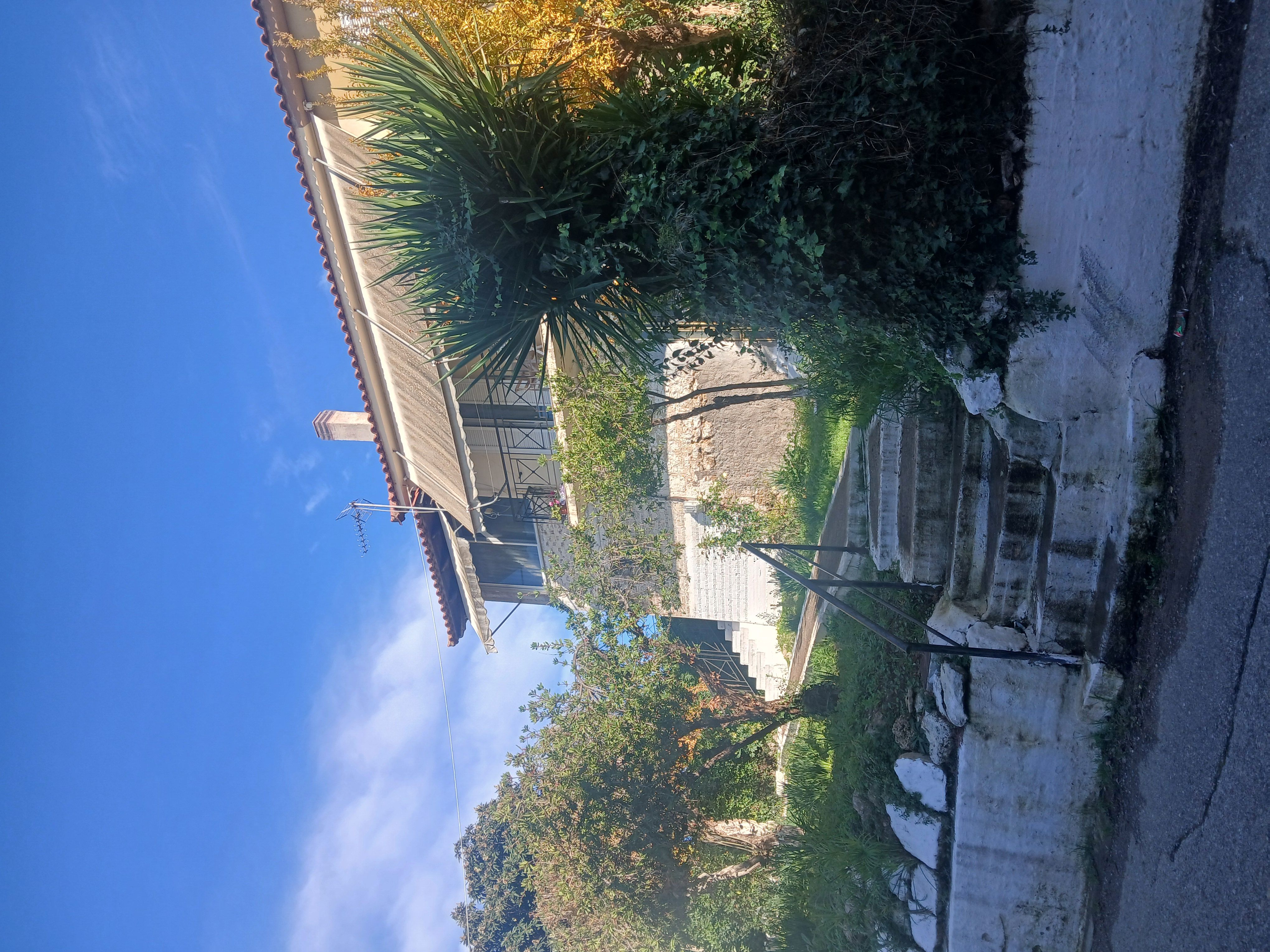 photo2