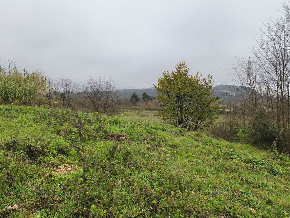 photo3